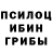 Псилоцибиновые грибы Psilocybine cubensis Graciela Ardiles