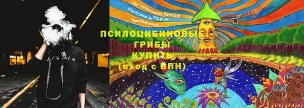 гидропоника Аркадак